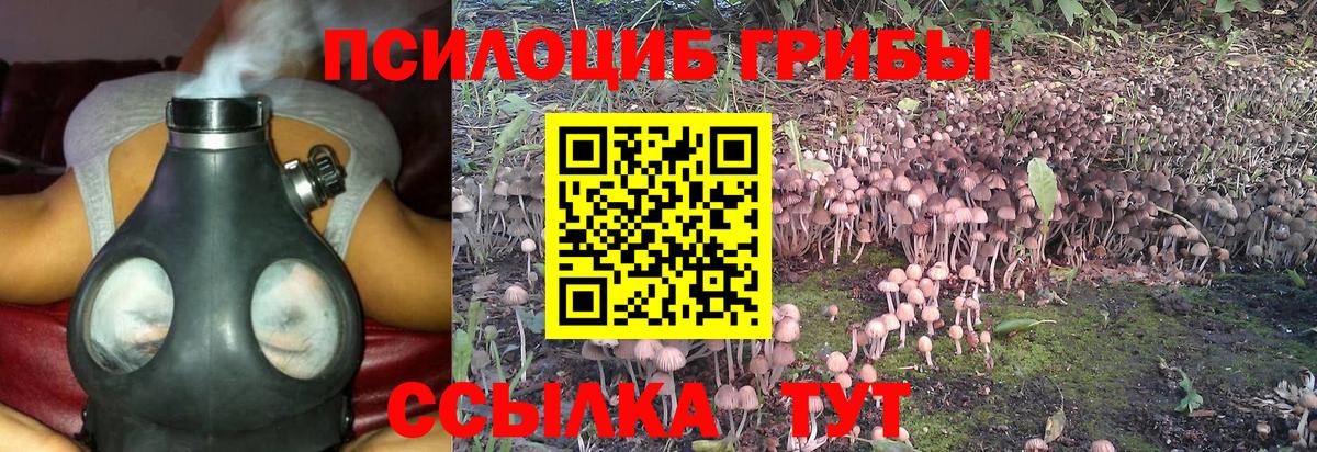 Галлюциногенные грибы Magic Shrooms Новороссийск