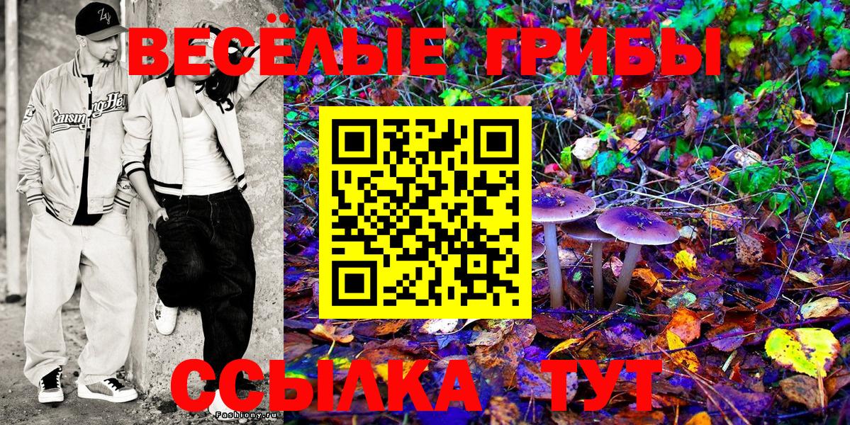 Псилоцибиновые грибы Cubensis  Вход с VPN  Новороссийск 