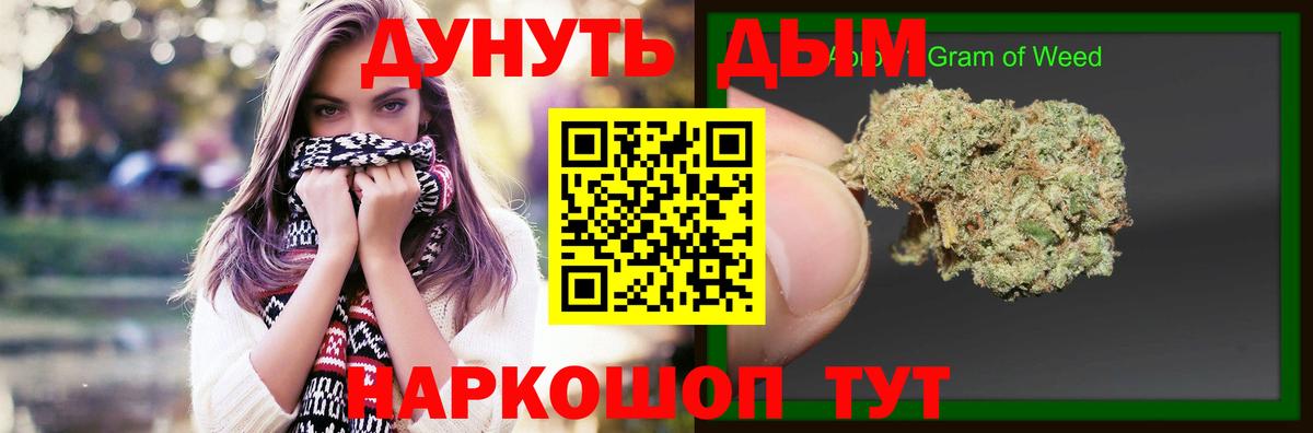 Каннабис сатива  Вход с VPN  Каннабис семена  Новороссийск 